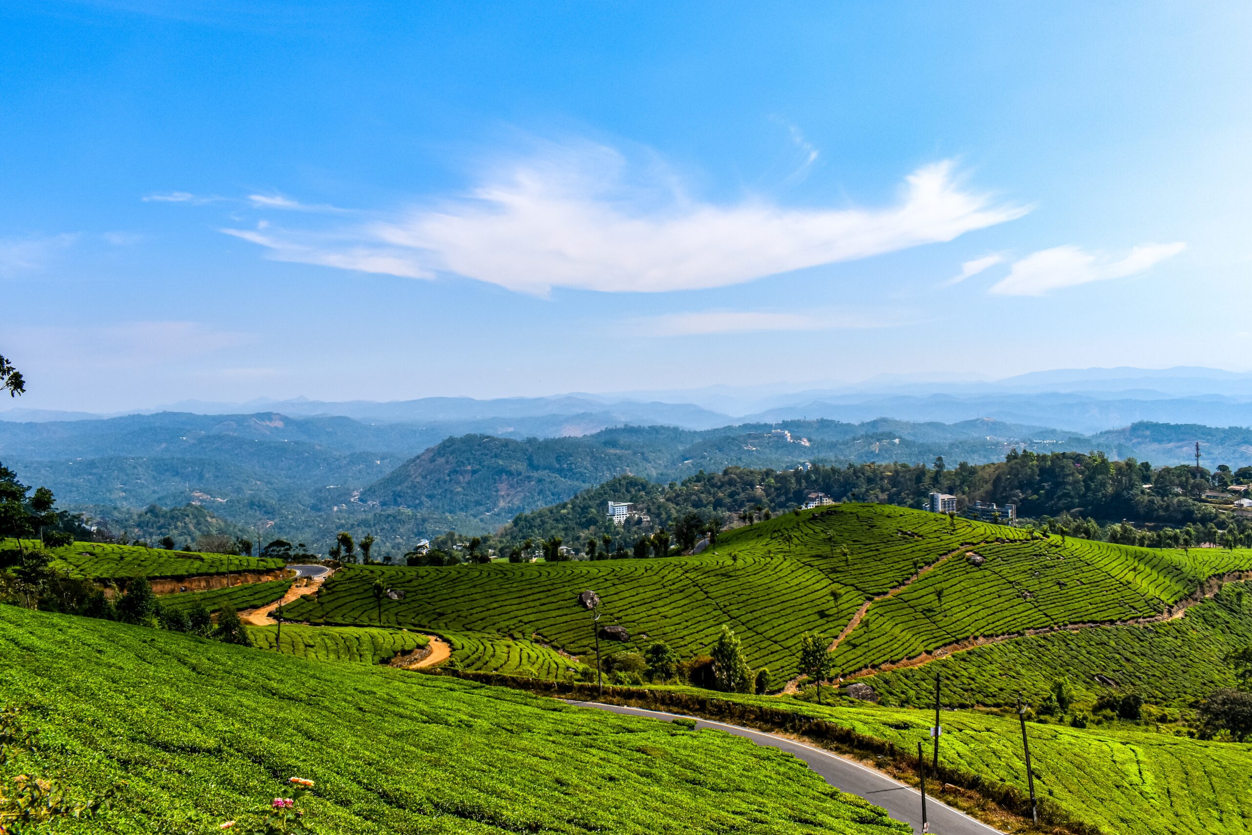 hill stations near trivandrum